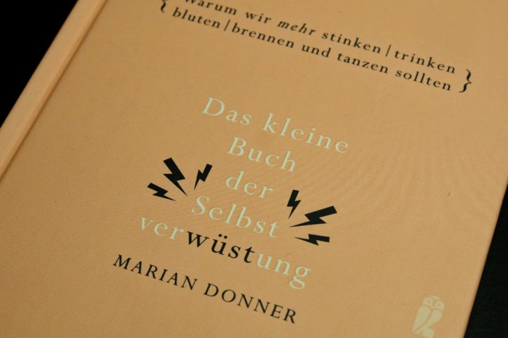 Das Kleine Buch der Selbstverwüstung von Marian Donner